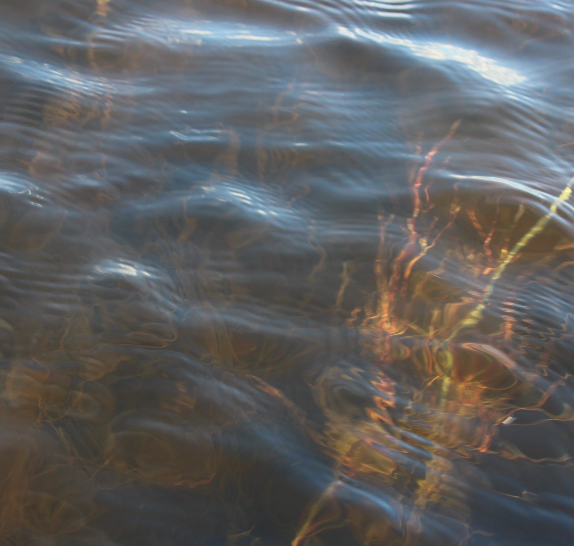 bild_stimmenausdemoff